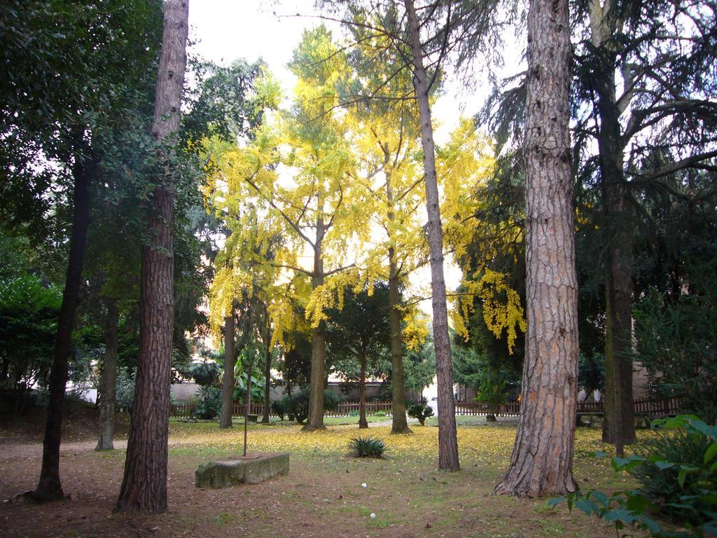 אלבנו לזיאלה Villa Altieri מראה חיצוני תמונה