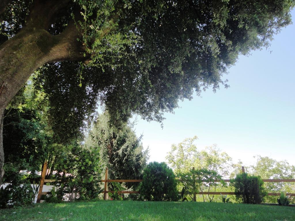 אלבנו לזיאלה Villa Altieri מראה חיצוני תמונה